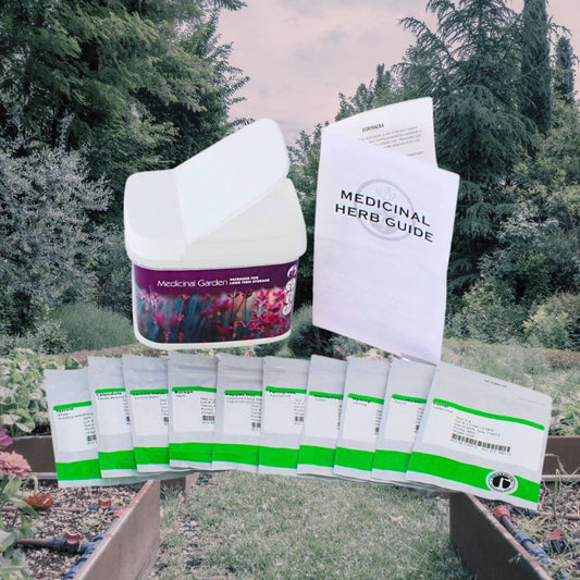 Medicinal Herb Seed Bundle - Bulk Long-Term Storage Heirloom Seeds