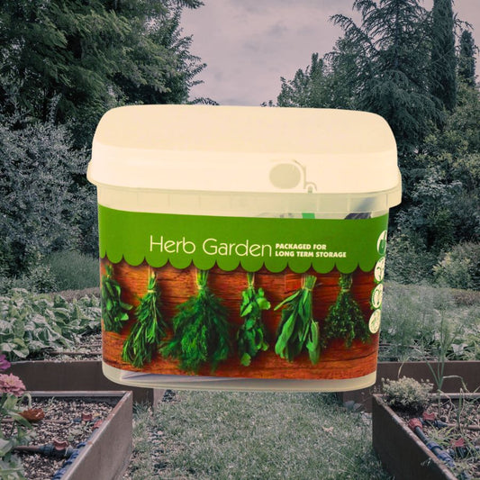 Culinary Herb Heirloom Seed Bundle - Bulk Long-Term Storage Seeds